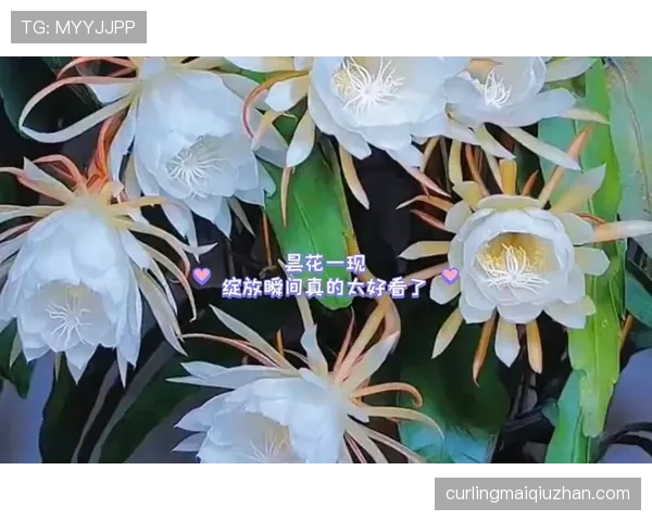 亚马尔：百年一遇的天赋还是被高估的昙花一现？
